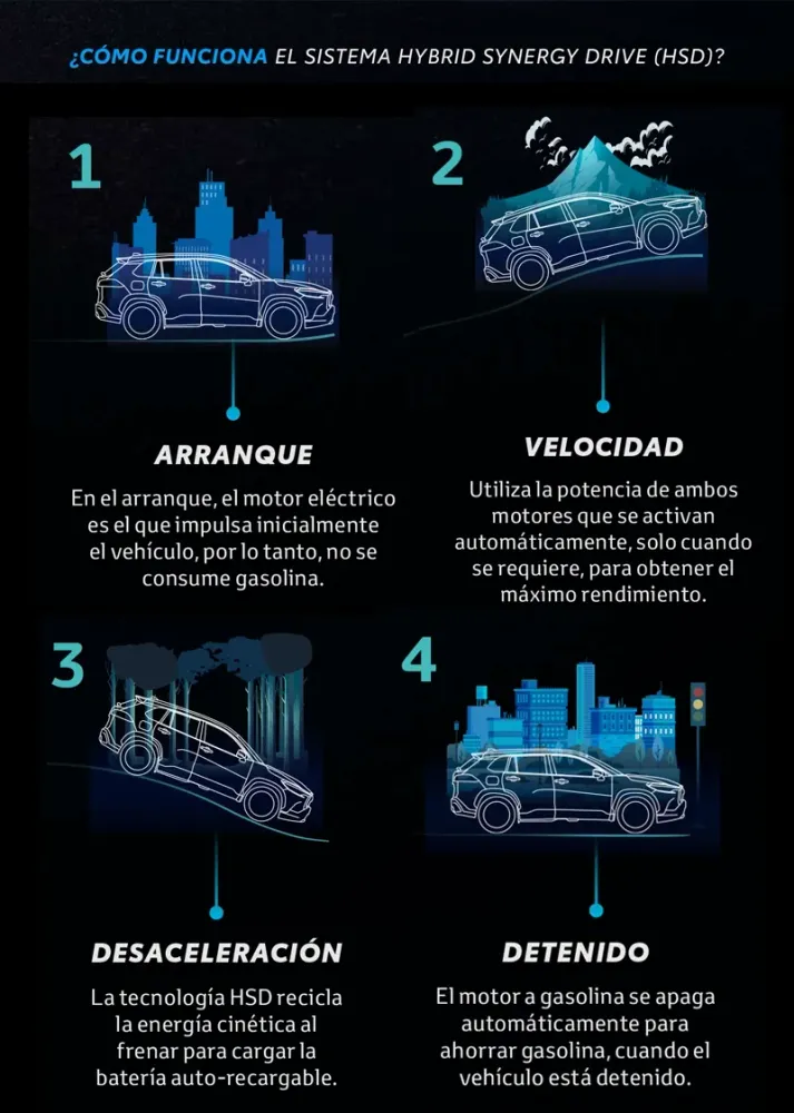 fondo